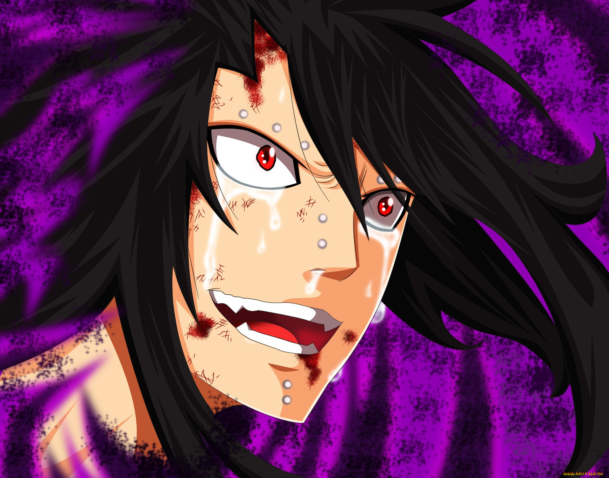 , fairy tail, 